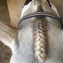 Hairy Pony Scissors Fastening