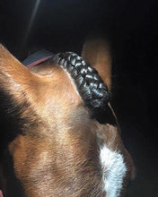 Hairy Pony Scissors Fastening