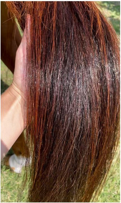 Hairy Pony Silky Serum