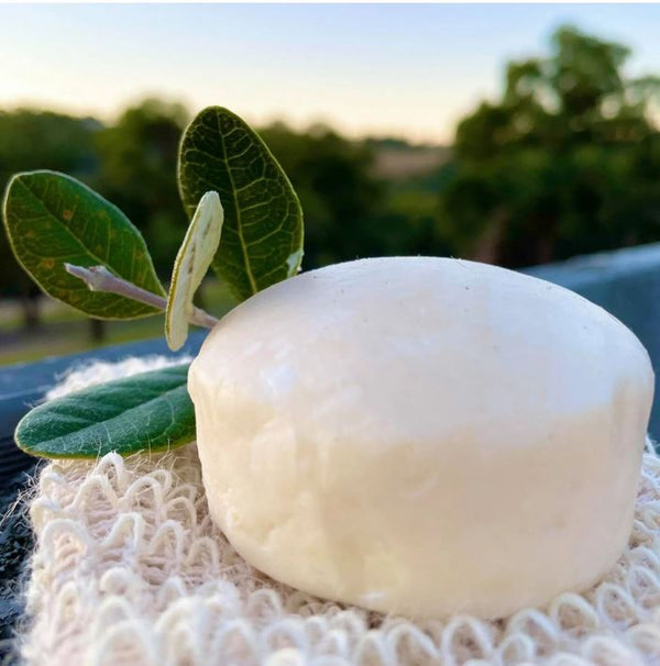 Hairy Pony Shampoo Bar Original [:tea Tree & Lemon Myrtle]