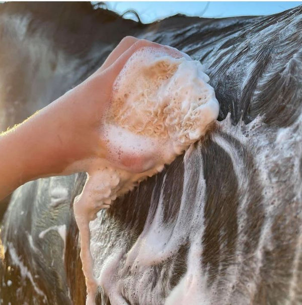 Hairy Pony Shampoo Bar Original [:tea Tree & Lemon Myrtle]