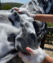 Hairy Pony Compressed Scrubbing Sponge