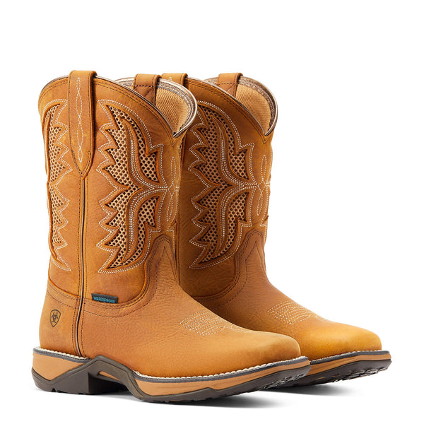 Western Boots Ariat Anthem Venttek H20 Toasted Wheat Ladies [:8.0]