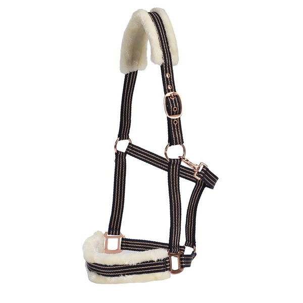Headstall Webbing Fleece Padded Navy & Gold [:pony]