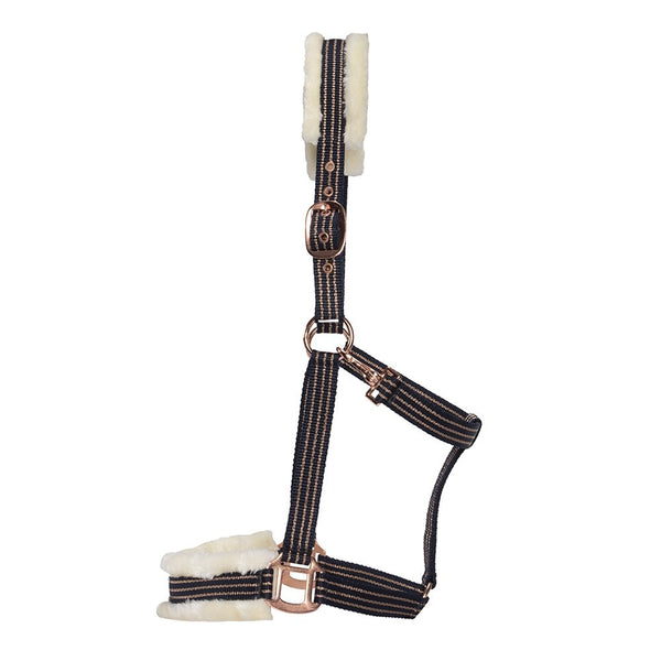 Headstall Webbing Fleece Padded Navy & Gold [:pony]