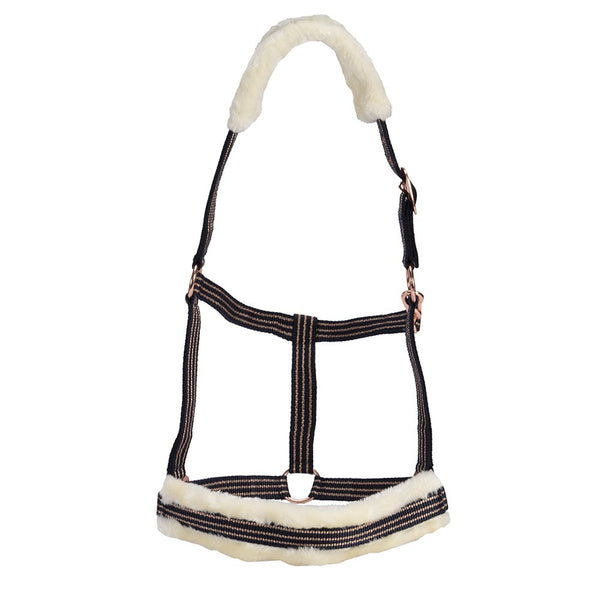 Headstall Webbing Fleece Padded Navy & Gold [:pony]
