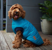 Kazoo Dog Rug Reversible Puffer Red & Blue [:27cm]