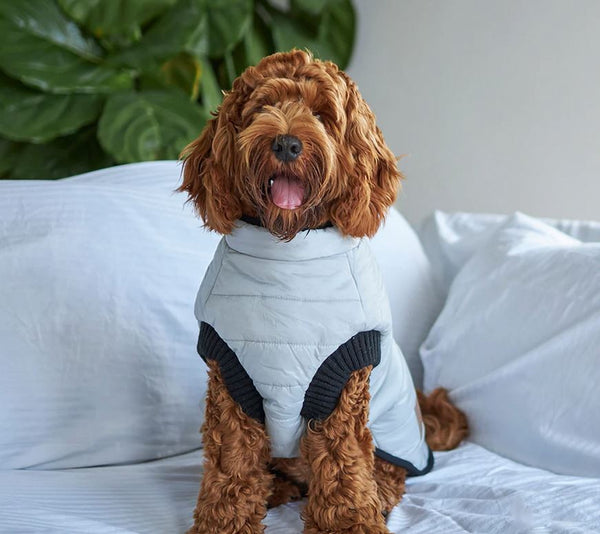 Kazoo Dog Rug Reversible Puffer Black & Silver [:27cm]