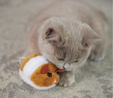 Cat Toy Kazoo Racer Mouse