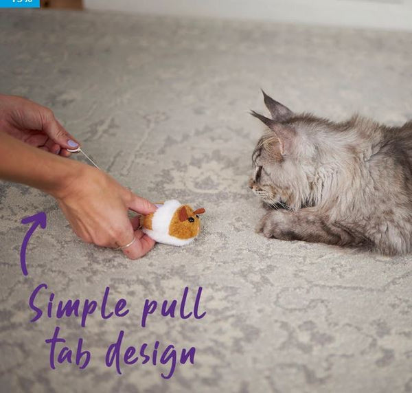 Cat Toy Kazoo Racer Mouse