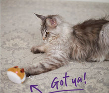 Cat Toy Kazoo Racer Mouse