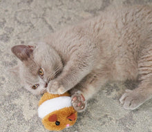 Cat Toy Kazoo Racer Mouse