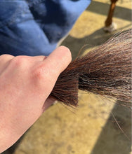 Hairy Pony Scissors Tail Trimming