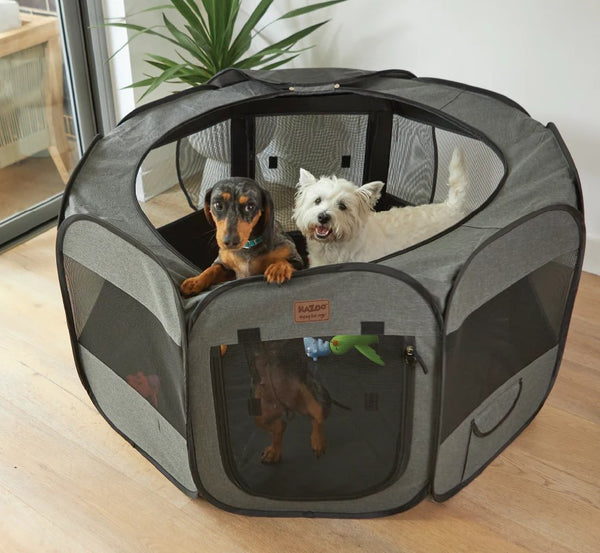 Pen Premium Pop Up Kazoo Large Only