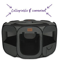 Pen Premium Pop Up Kazoo Large Only