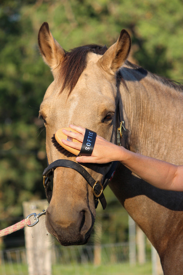 GeeGee COLLECTIVE | Premium Grooming Kit