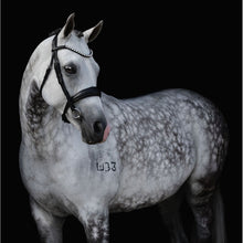 Abigail Black Italian Leather Bridle (No reins)