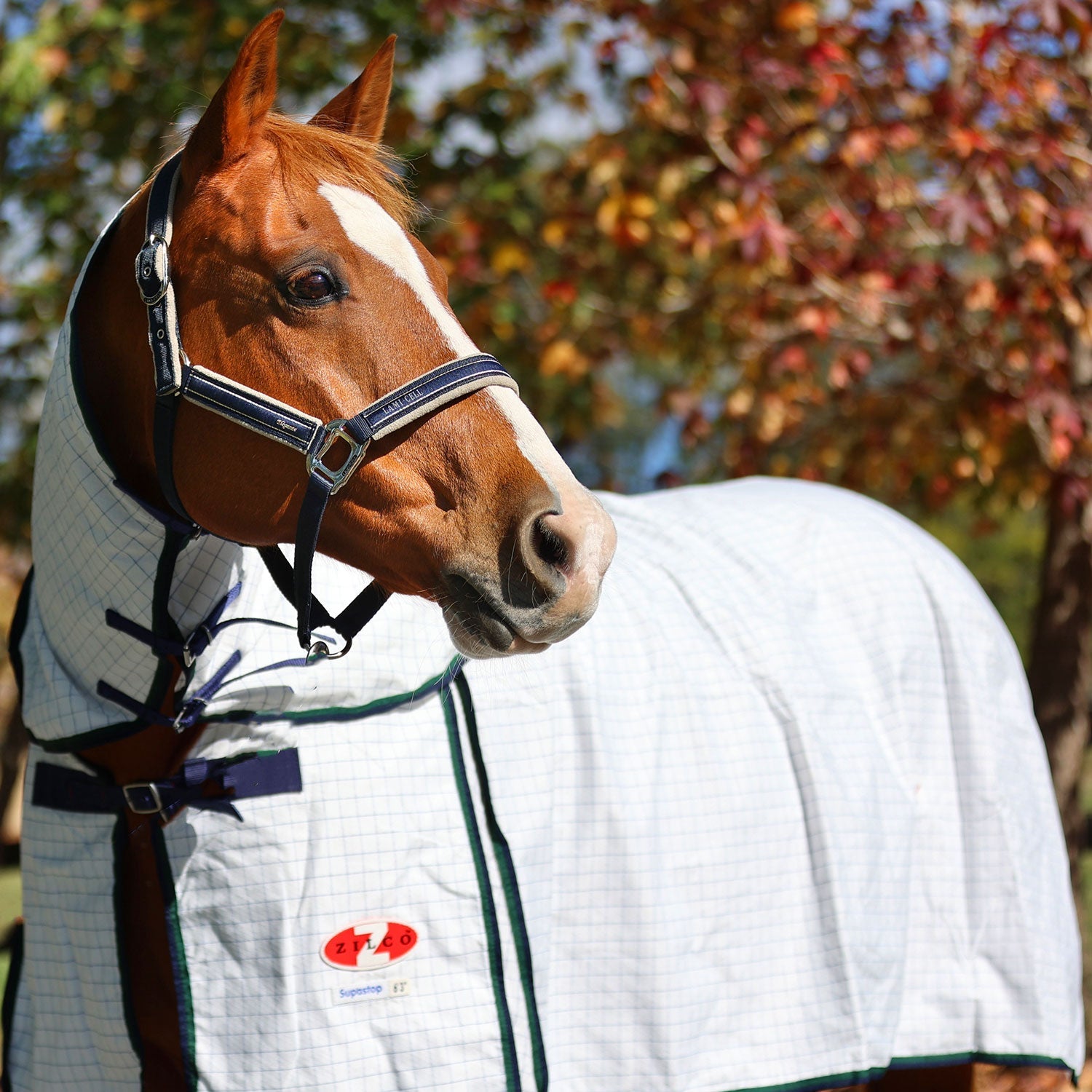 Zilco Horse Rug - Supastop Combo