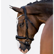 Amie Rolled Italian Leather Bridle (Hanoverian) (No reins)