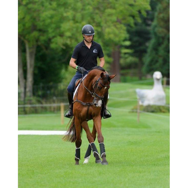 Kentucky Turnout Sheepskin Solimbra Hind