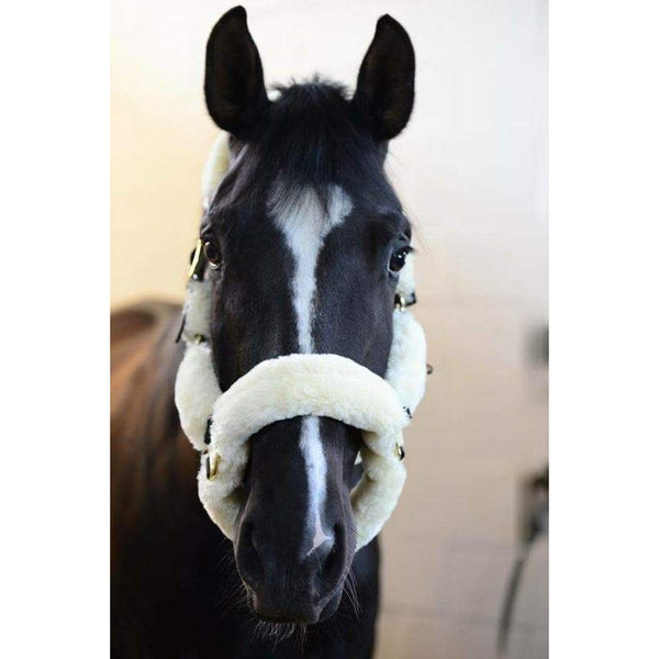 Sheepskin Shipping Halter
