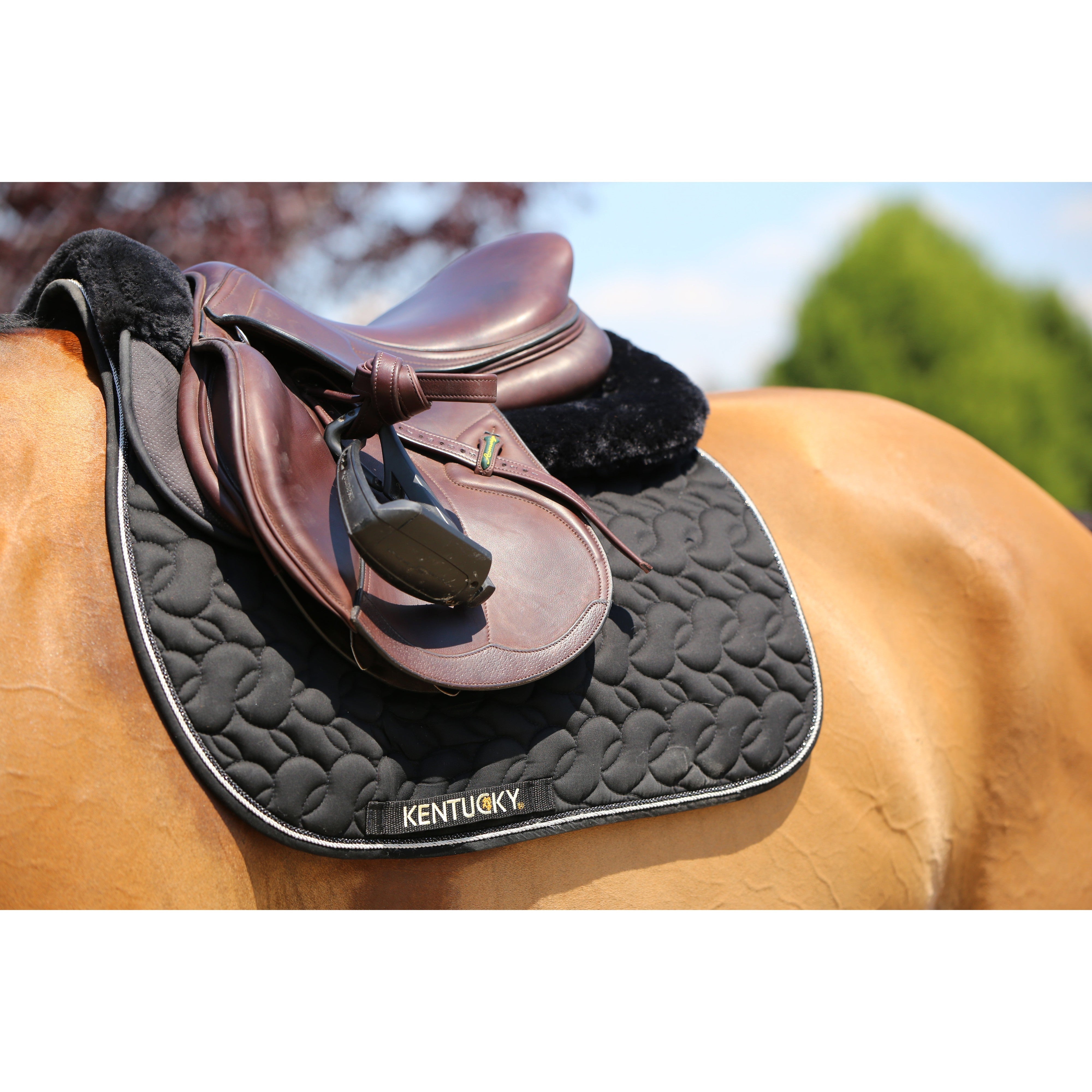 Kentucky Sheepskin Anatomic Half Pad Absorb