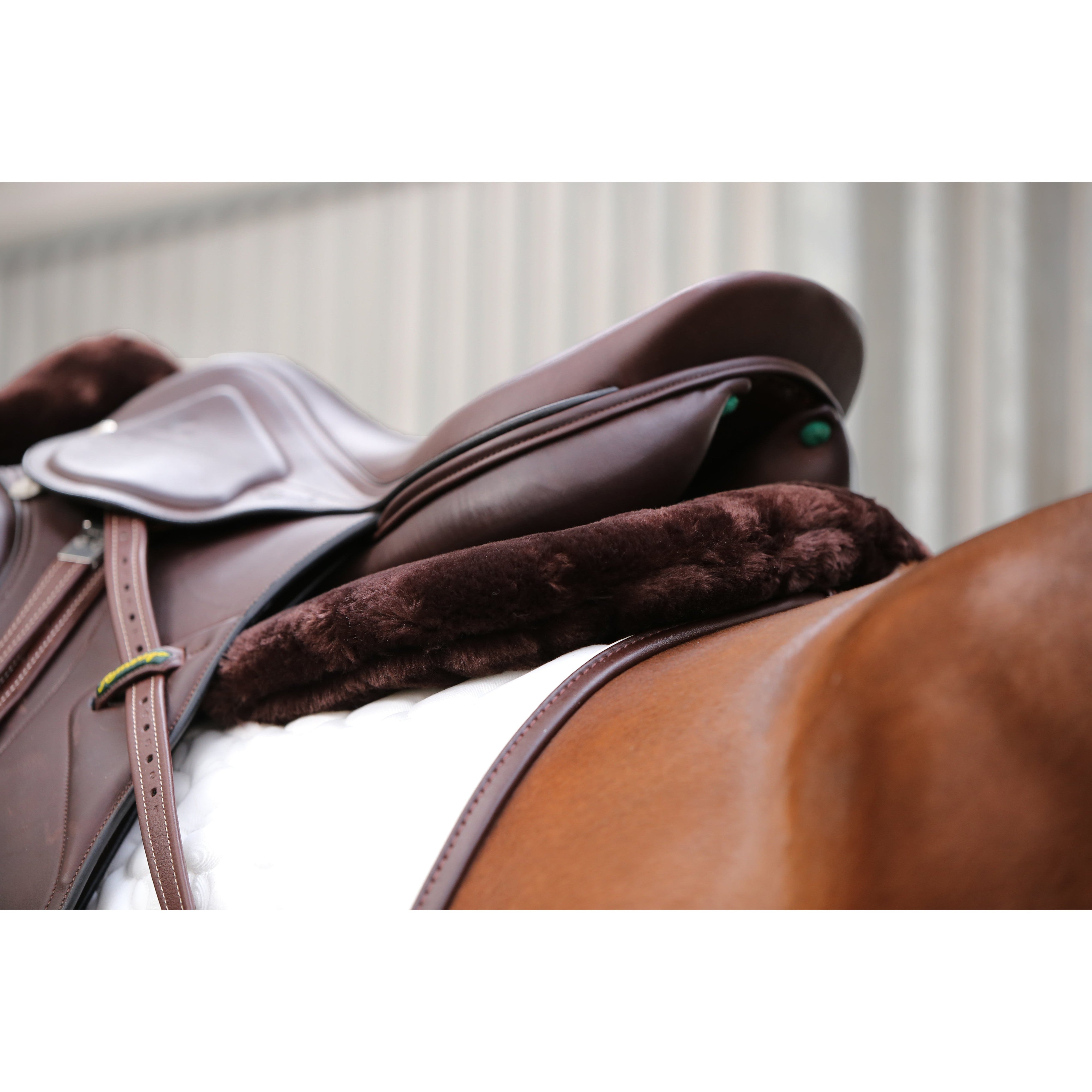 Kentucky Sheepskin Anatomic Half Pad Absorb