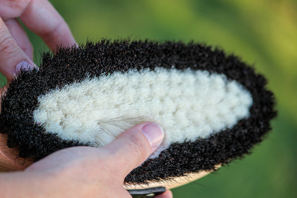 GeeGee COLLECTIVE | Premium Grooming Kit