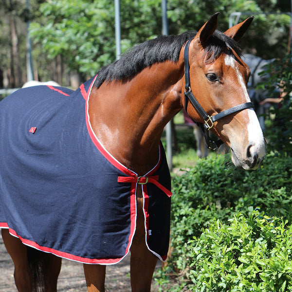 Stadium Show Rug Made Of Wool
