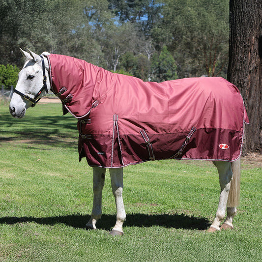 Zilco Horse Rug: Explorer 200 Combo