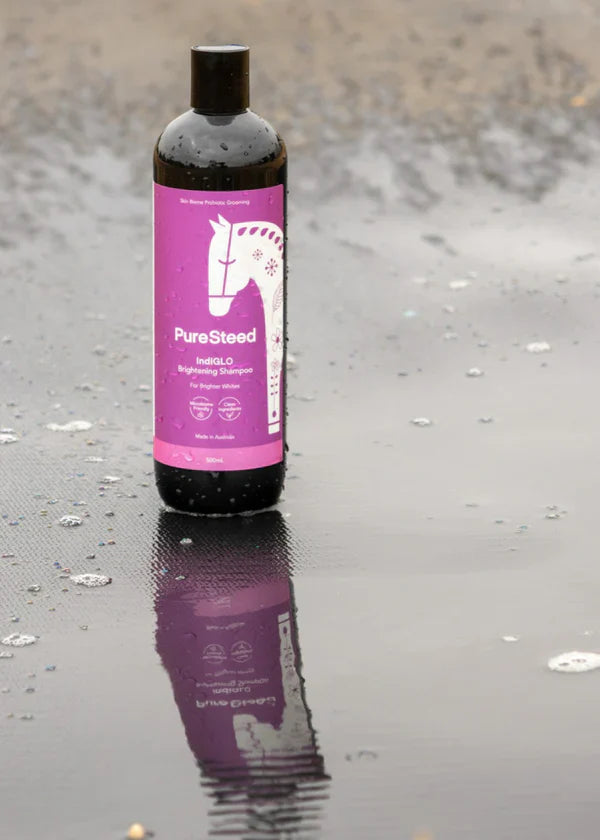 Pure Steed Indiglo Brightening Shampoo