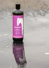 Pure Steed Indiglo Brightening Shampoo