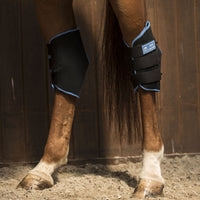 Lami-Cell Pro Ice Boots