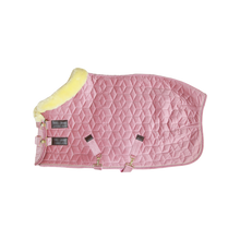 Kentucky Horsewear's Velvet Show Rug