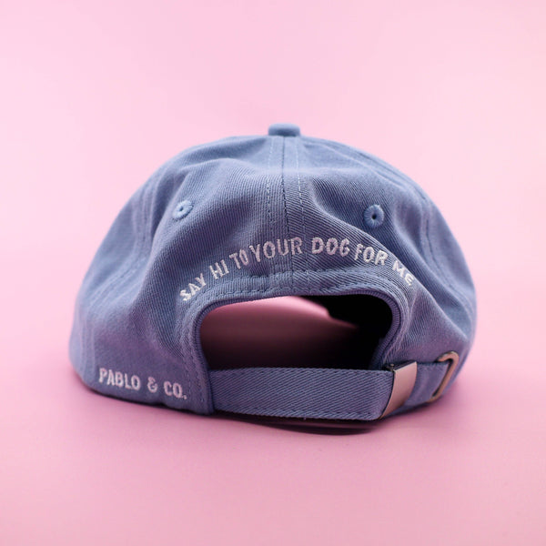 'Send Dog Pics' Baseball Cap