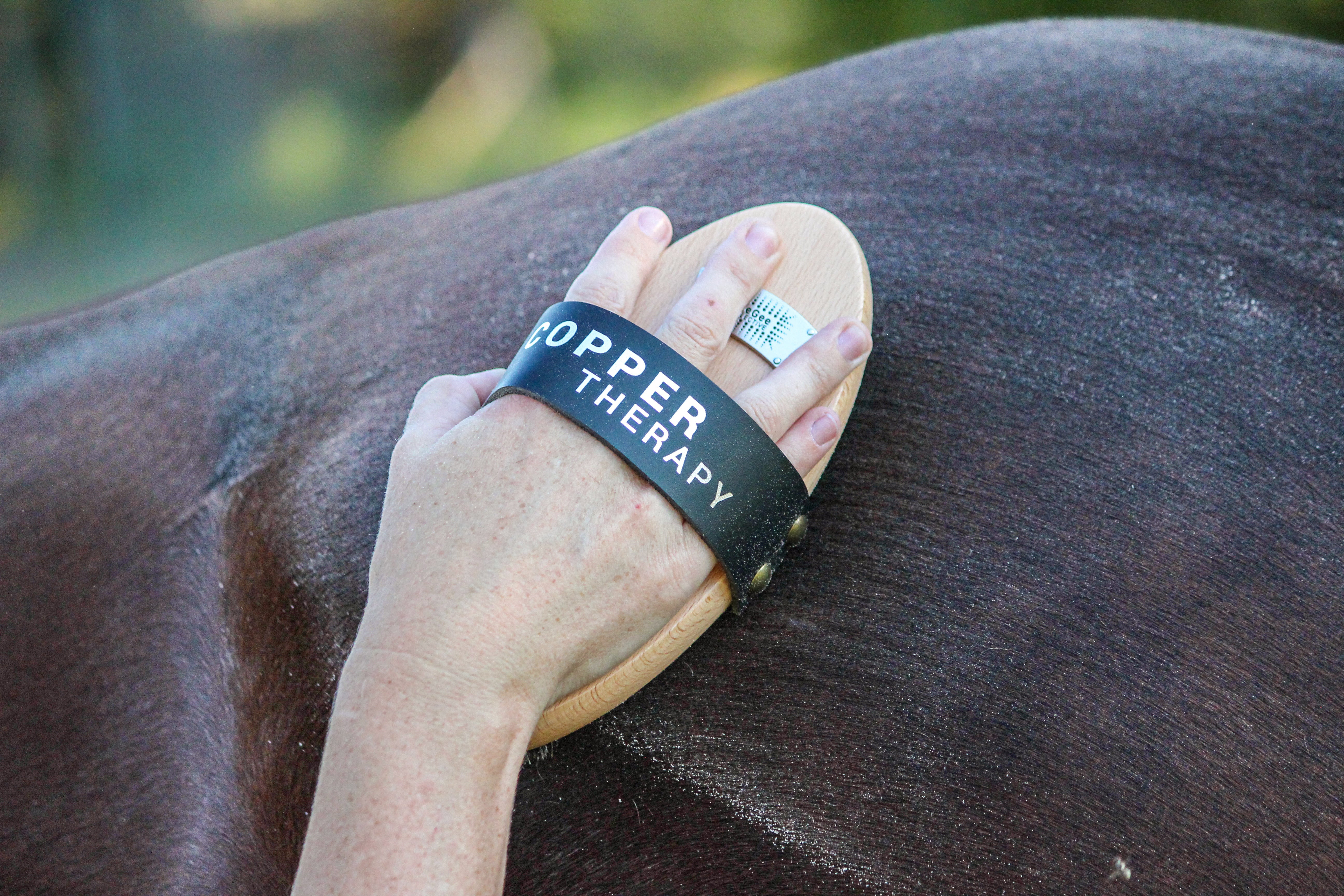 GeeGee COLLECTIVE | Express Grooming Kit