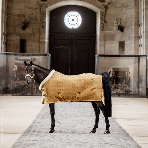 Kentucky Horsewear's Velvet Show Rug