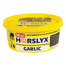 Horslyx Garlic Mini Vit & Mineral Lick