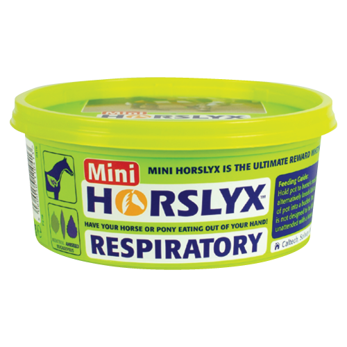 Horslyx Respiratory Mini Vit & Mineral Lick