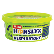 Horslyx Respiratory Mini Vit & Mineral Lick
