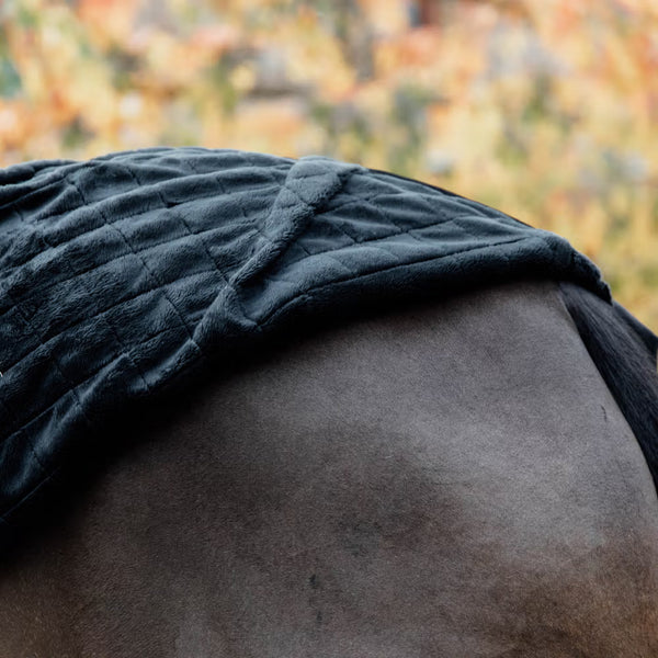 0g Kentucky Horse Rug For Stable