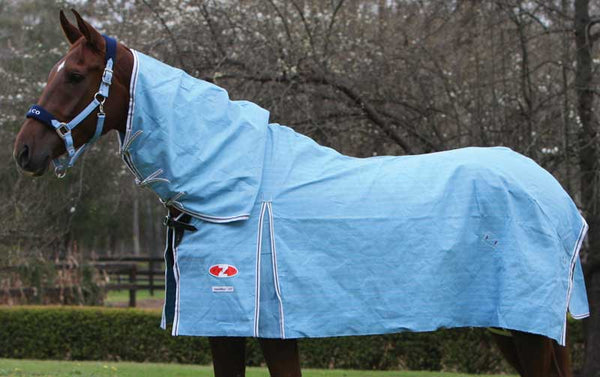 Zilco Hamilton Combo