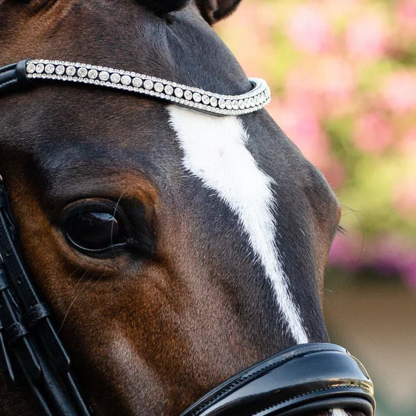 Amie Rolled Italian Leather Bridle (Hanoverian) (No reins)