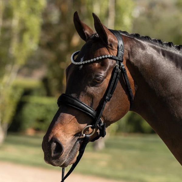 Abigail Black Italian Leather Bridle (No reins)