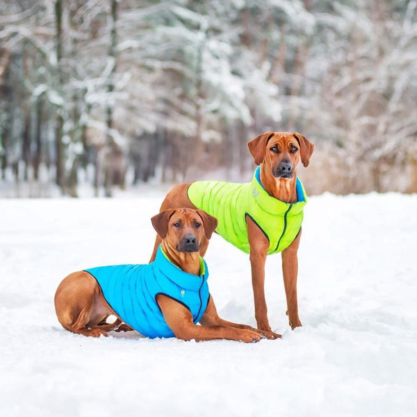 Airyvest Coral & Grey