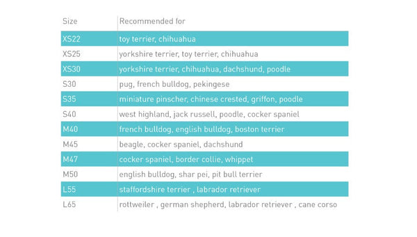 Airyvest Coral & Grey-Dog Rugs & Fashion-Ascot Saddlery