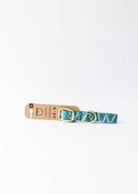 Anipal Dog Collar Kylo The Koala-Dog Collars & Leads-Ascot Saddlery