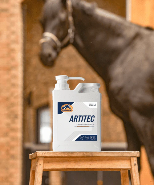 Cavalor Equicare Joint Supplement Artitec
