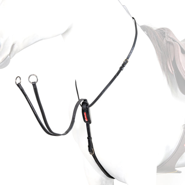 Equipe BP16 Patent Detail Martingale