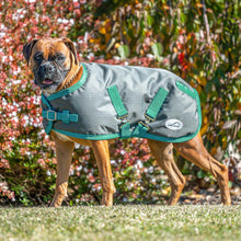 Eurohunter Ironbark Dog Rug